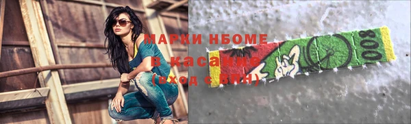 шишки Баксан
