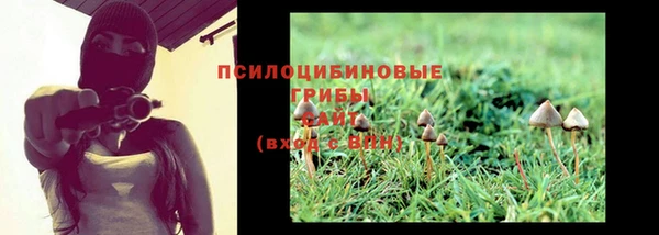твердый Балахна