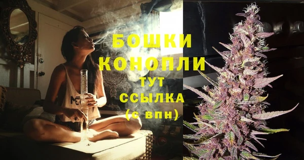 шишки Баксан
