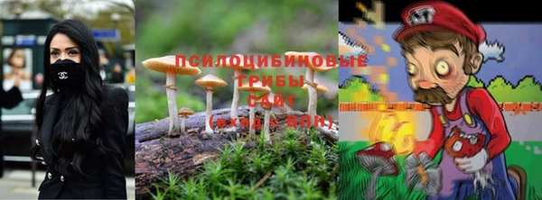 твердый Балахна