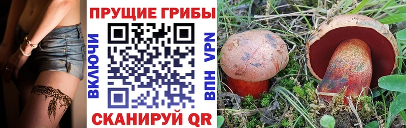 Псилоцибиновые грибы Psilocybine cubensis  Купить где  Кореновск 