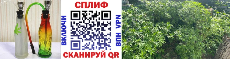 Купить  Кореновск  Конопля OG Kush 